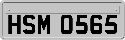 HSM0565