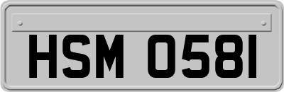 HSM0581