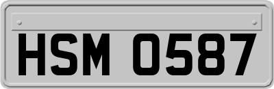 HSM0587