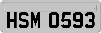 HSM0593