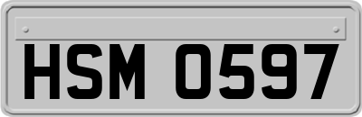 HSM0597