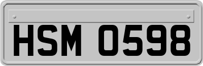 HSM0598