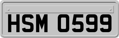 HSM0599