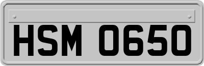 HSM0650