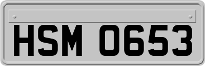HSM0653
