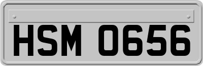 HSM0656