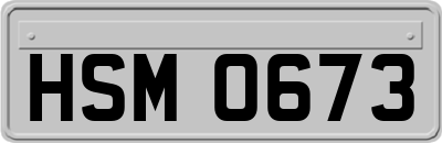 HSM0673