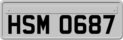 HSM0687