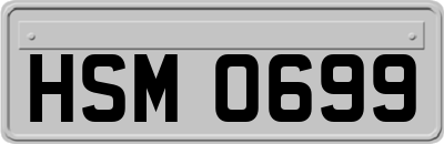 HSM0699