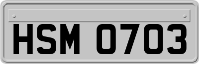 HSM0703