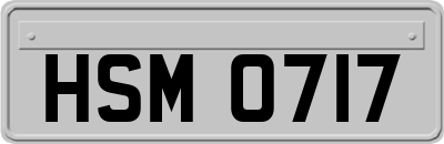 HSM0717