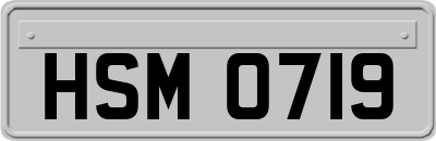 HSM0719