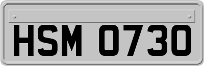 HSM0730