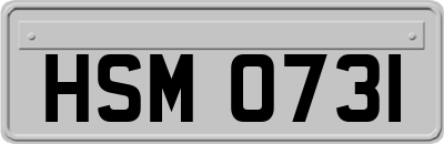 HSM0731