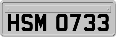 HSM0733