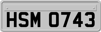 HSM0743