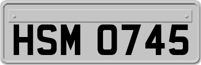 HSM0745