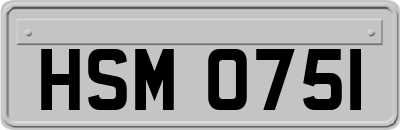 HSM0751