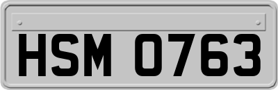 HSM0763