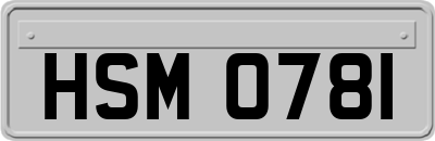 HSM0781