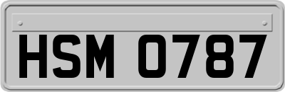 HSM0787