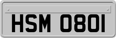 HSM0801