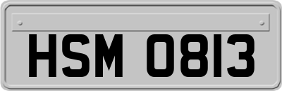 HSM0813