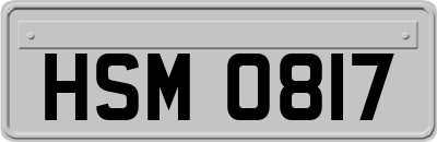 HSM0817
