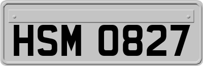 HSM0827