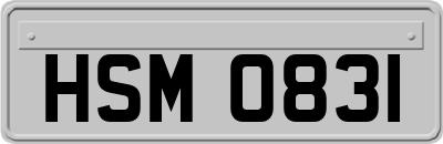 HSM0831