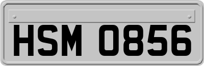 HSM0856