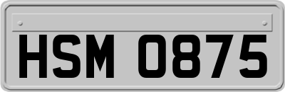 HSM0875