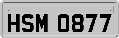 HSM0877
