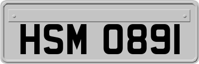 HSM0891