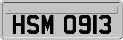 HSM0913