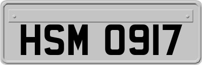 HSM0917