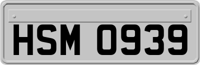 HSM0939