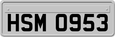 HSM0953