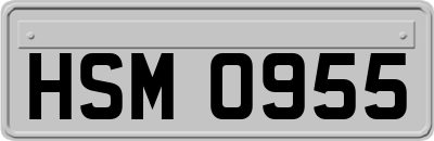 HSM0955