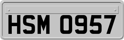 HSM0957