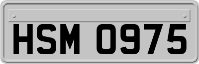 HSM0975