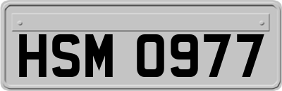 HSM0977