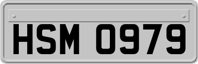 HSM0979