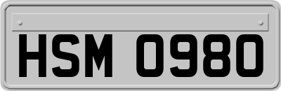 HSM0980