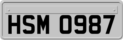 HSM0987