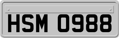 HSM0988