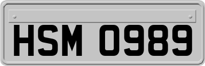 HSM0989