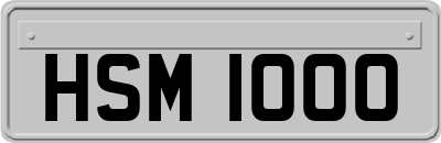 HSM1000