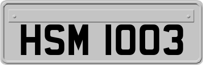 HSM1003