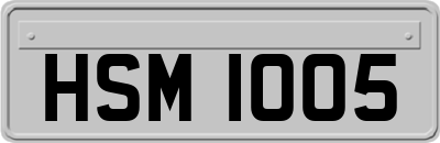 HSM1005